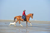 St-Peter-Ording-5-6-_074.jpg