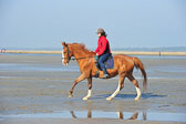 St-Peter-Ording-5-6-_086.jpg