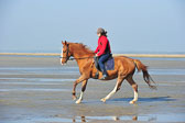 St-Peter-Ording-5-6-_087.jpg