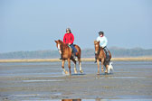St-Peter-Ording-5-6-_098.jpg