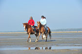 St-Peter-Ording-5-6-_104.jpg