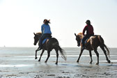 St-Peter-Ording-5-6-_114.jpg