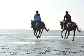 St-Peter-Ording-5-6-_115.jpg