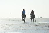St-Peter-Ording-5-6-_117.jpg