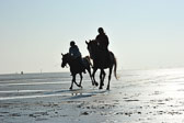 St-Peter-Ording-5-6-_124.jpg