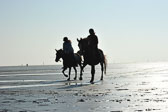 St-Peter-Ording-5-6-_125.jpg