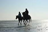 St-Peter-Ording-5-6-_126.jpg