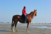 St Peter Ording 5+6