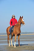 St Peter Ording 5+6