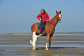 St-Peter-Ording-5-6-_157.jpg