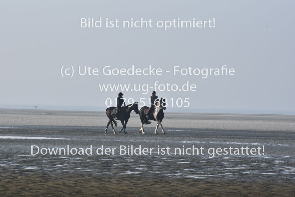 St-Peter-Ording-7-8-_003.jpg