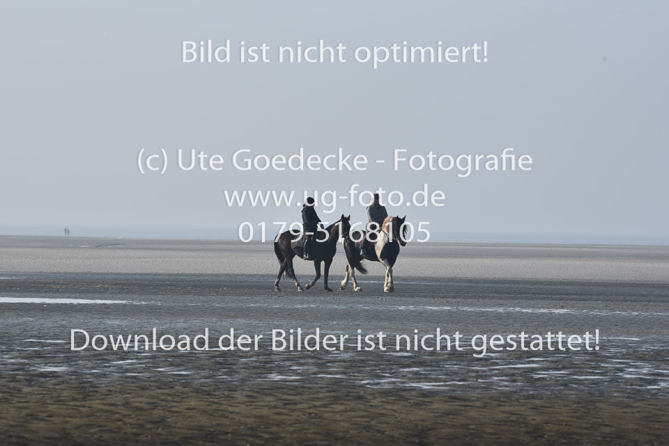 St-Peter-Ording-7-8-_004.jpg