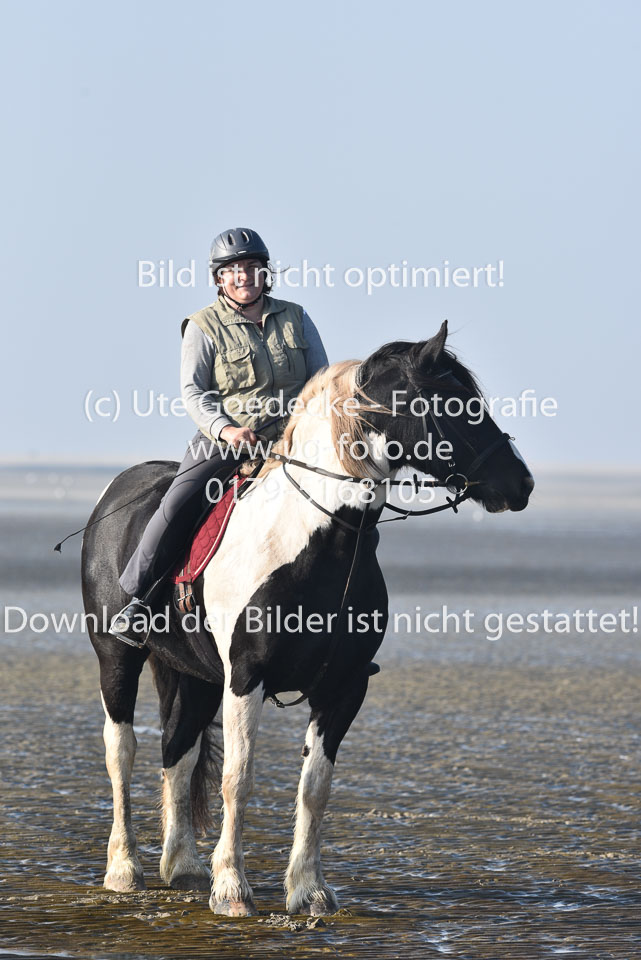 St-Peter-Ording-7-8-_009.jpg