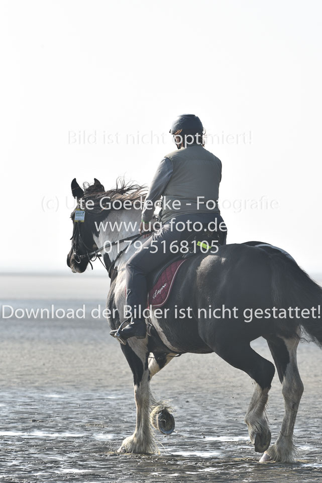 St-Peter-Ording-7-8-_017.jpg