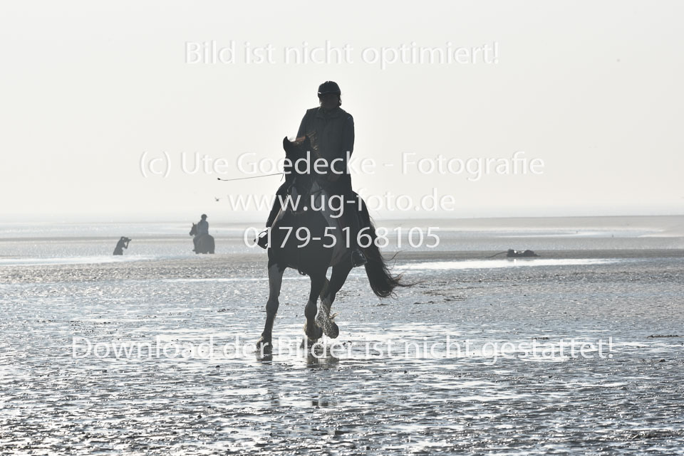 St-Peter-Ording-7-8-_018.jpg