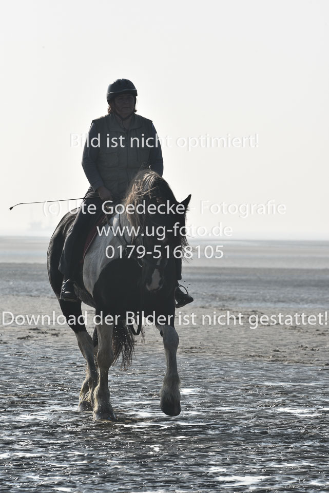 St-Peter-Ording-7-8-_028.jpg