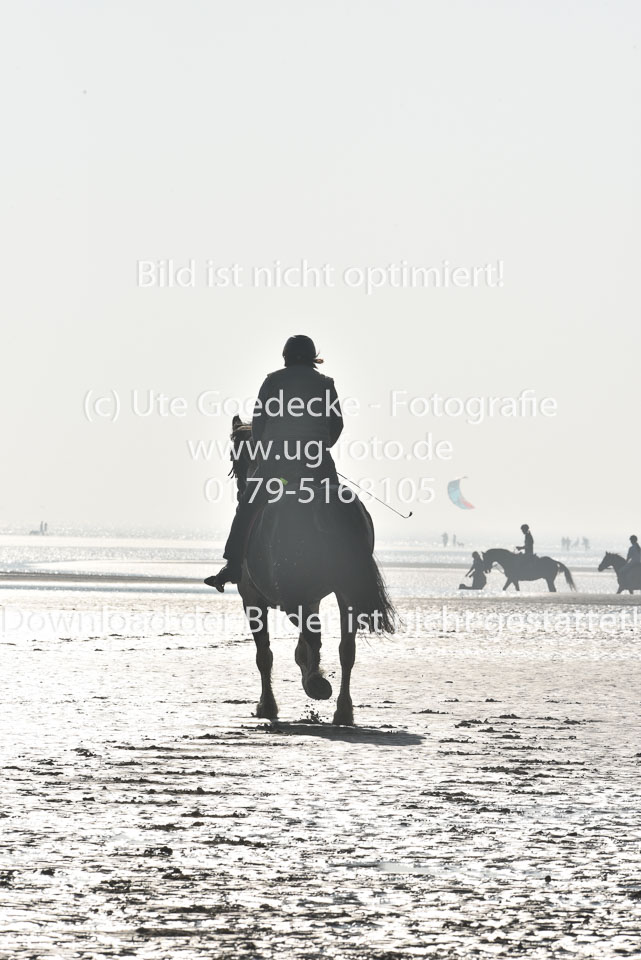 St-Peter-Ording-7-8-_033.jpg