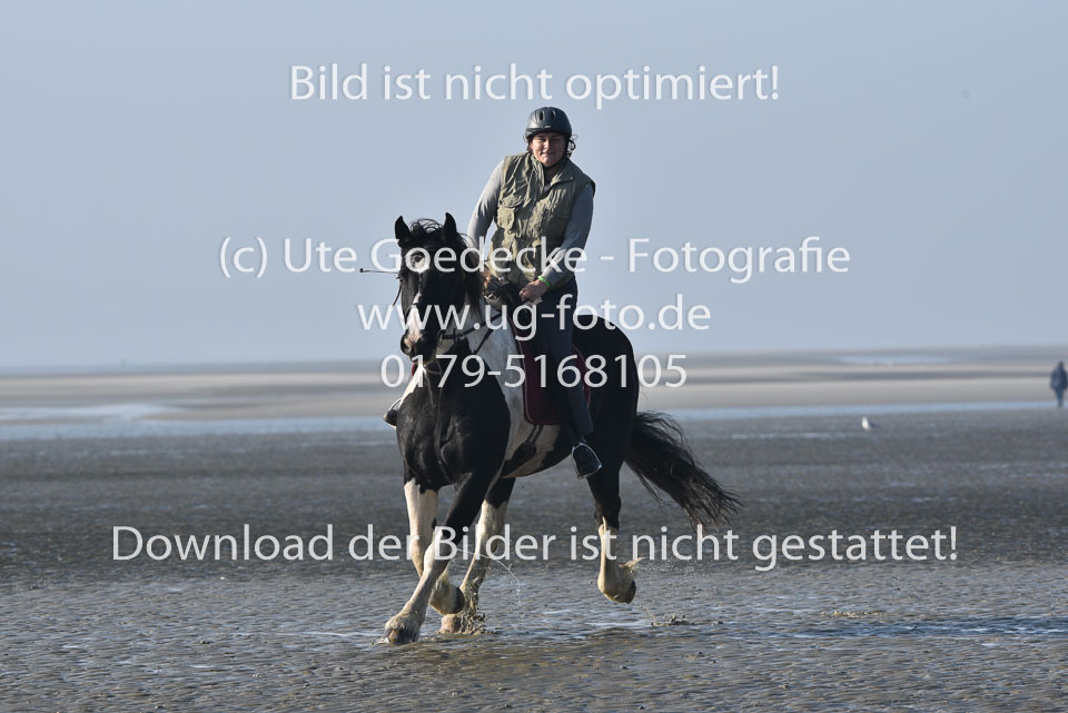 St-Peter-Ording-7-8-_057.jpg