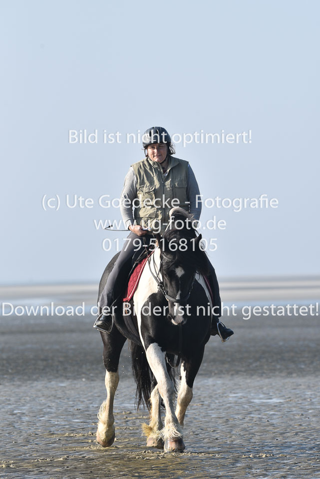 St-Peter-Ording-7-8-_059.jpg