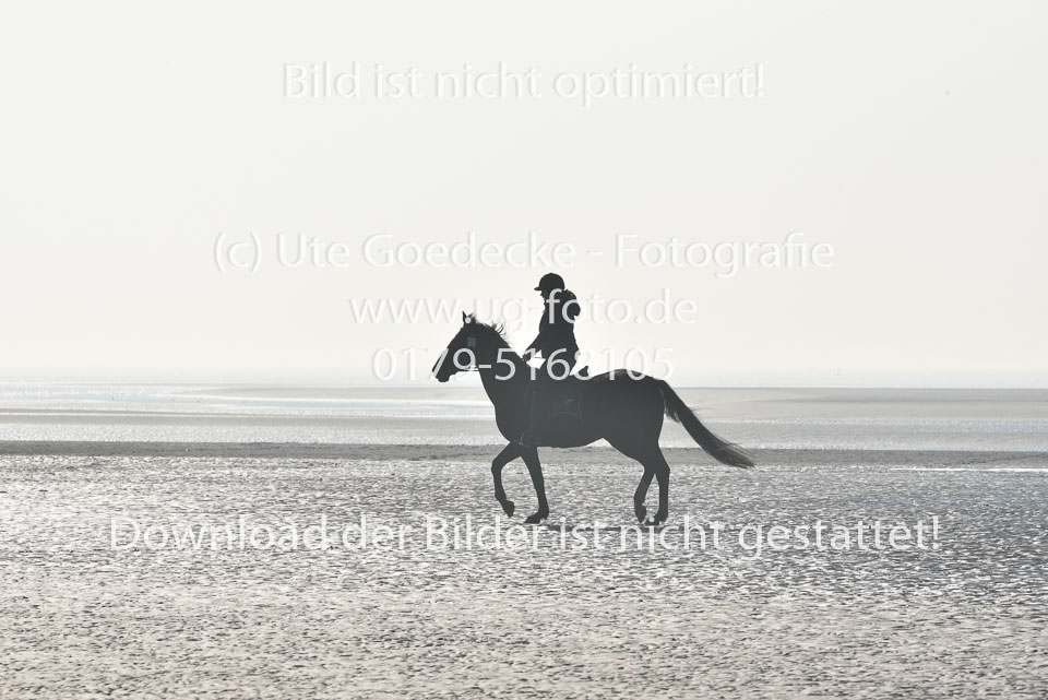 St-Peter-Ording-7-8-_070.jpg