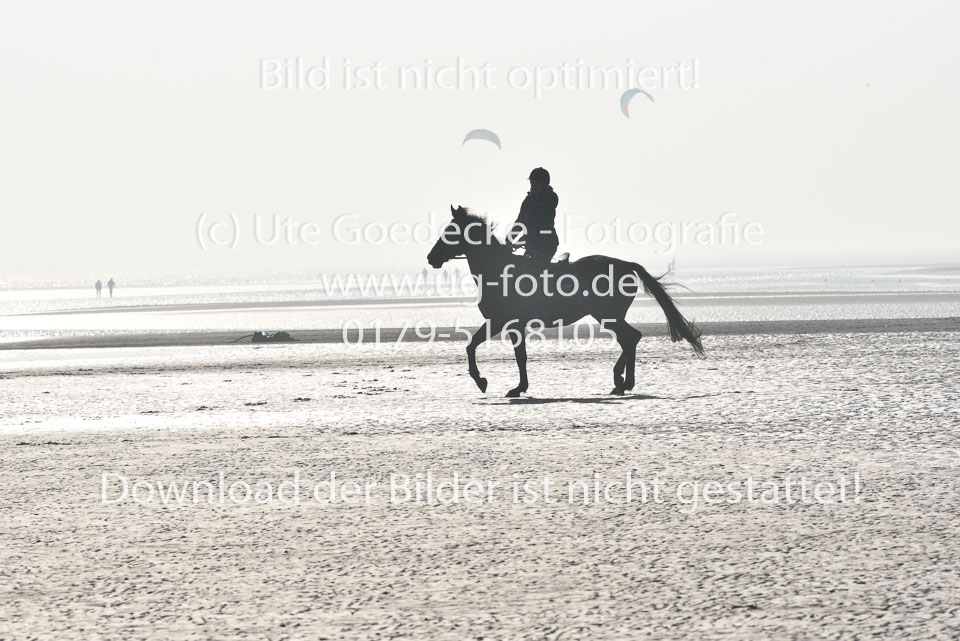 St-Peter-Ording-7-8-_074.jpg