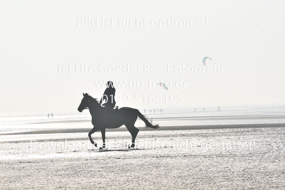 St-Peter-Ording-7-8-_078.jpg