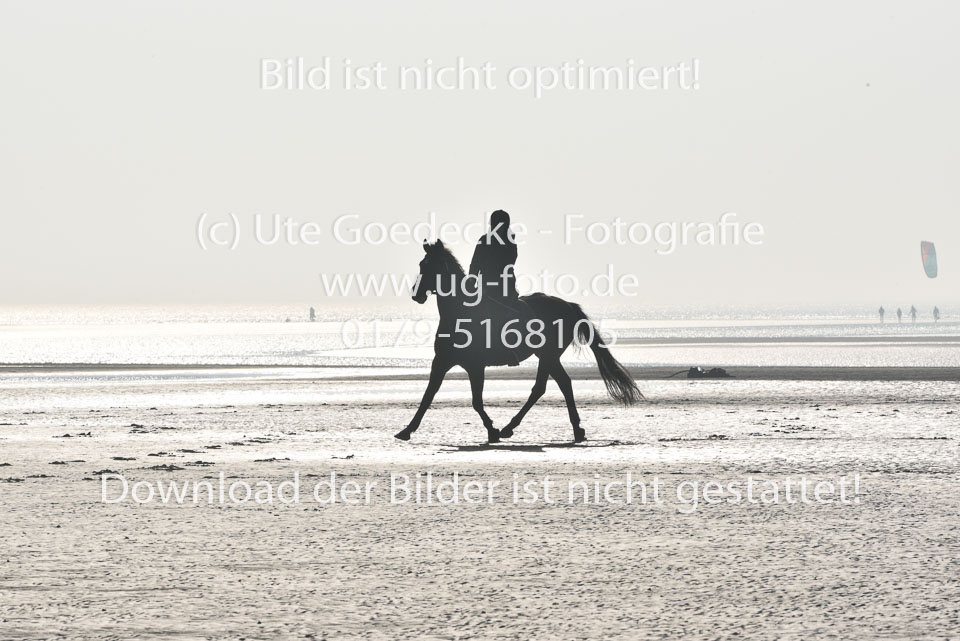 St-Peter-Ording-7-8-_081.jpg