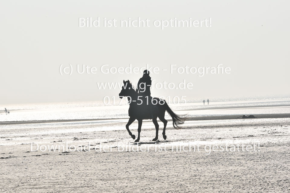 St-Peter-Ording-7-8-_084.jpg