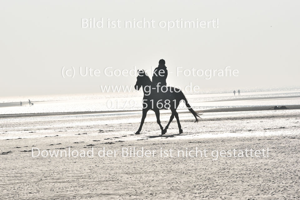 St-Peter-Ording-7-8-_085.jpg