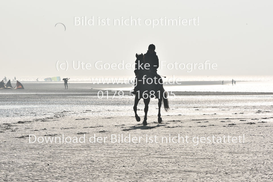 St-Peter-Ording-7-8-_087.jpg