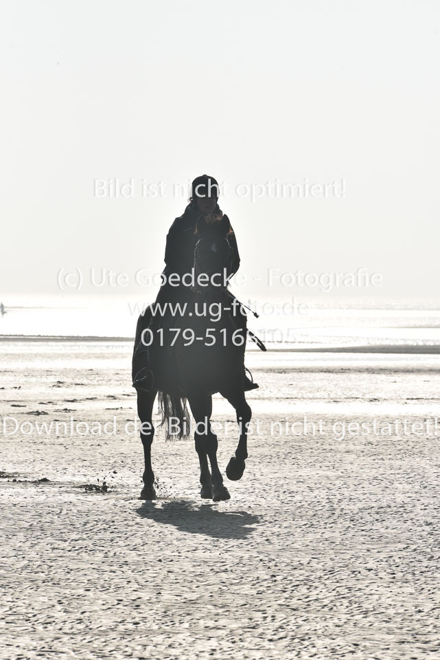 St-Peter-Ording-7-8-_092.jpg