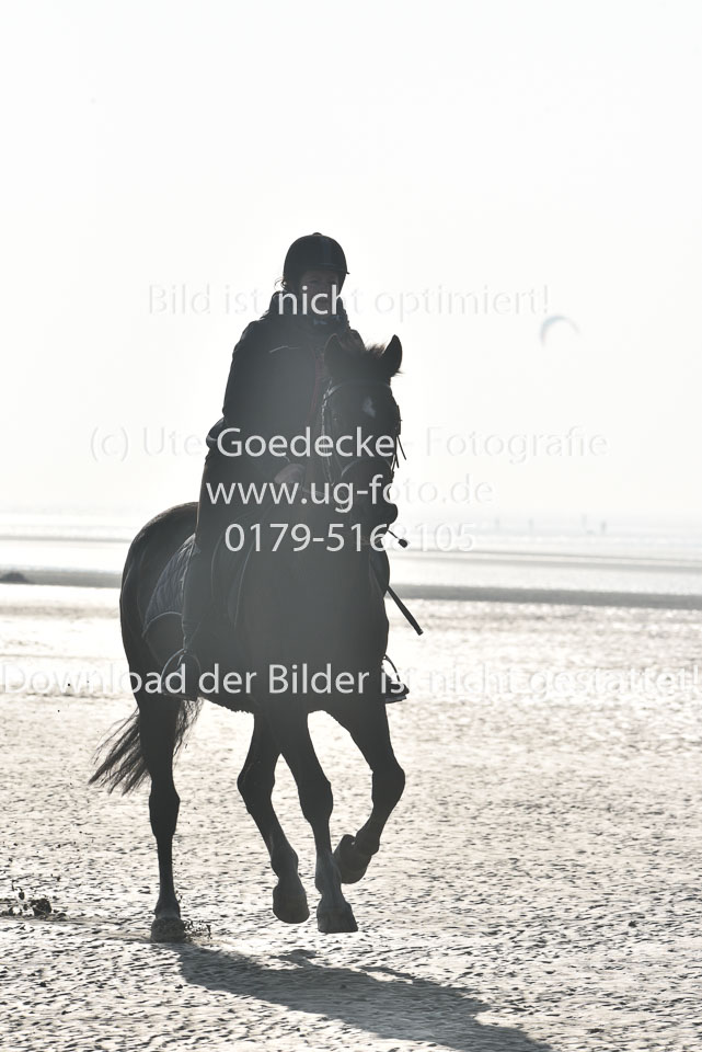 St-Peter-Ording-7-8-_097.jpg