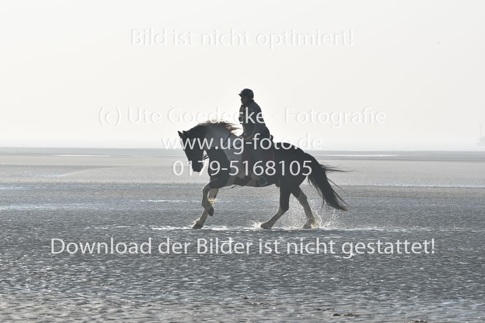 St-Peter-Ording-7-8-_105.jpg