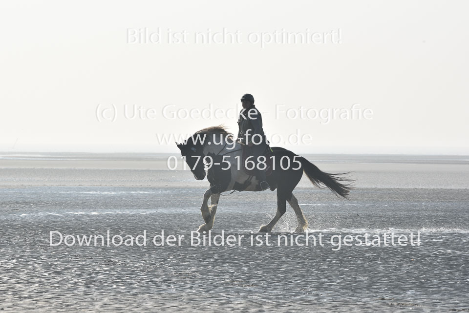 St-Peter-Ording-7-8-_106.jpg