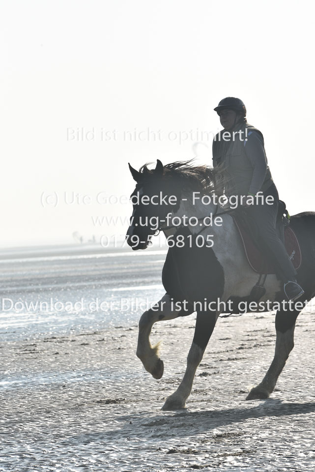 St-Peter-Ording-7-8-_123.jpg