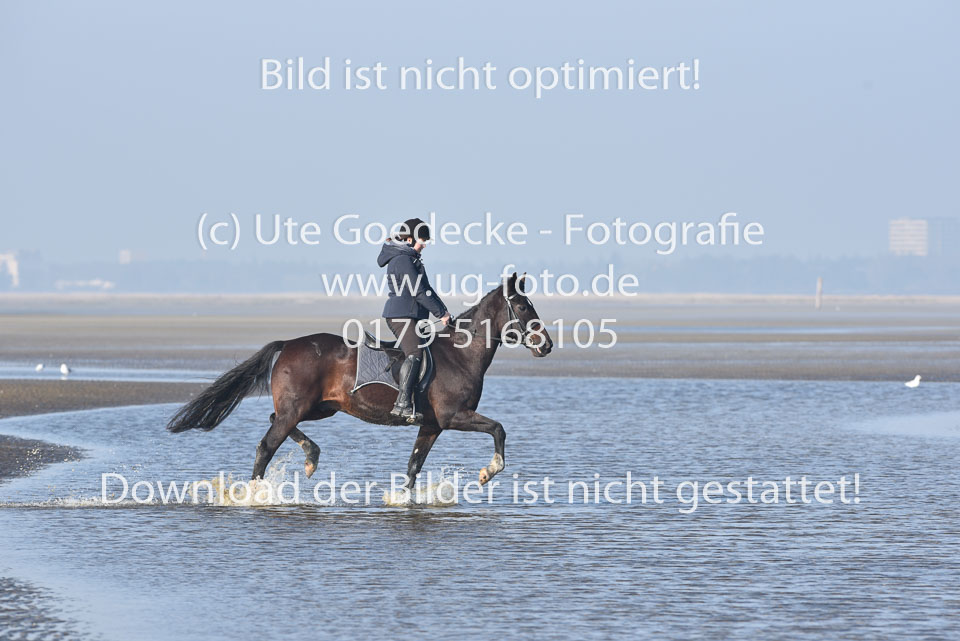 St-Peter-Ording-7-8-_132.jpg