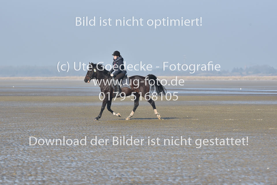 St-Peter-Ording-7-8-_141.jpg