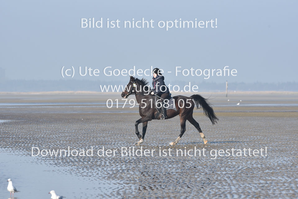 St-Peter-Ording-7-8-_148.jpg