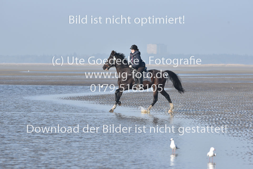 St-Peter-Ording-7-8-_153.jpg