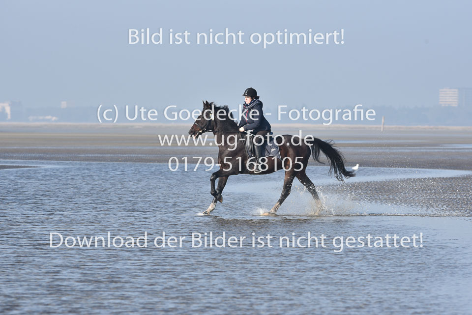 St-Peter-Ording-7-8-_156.jpg
