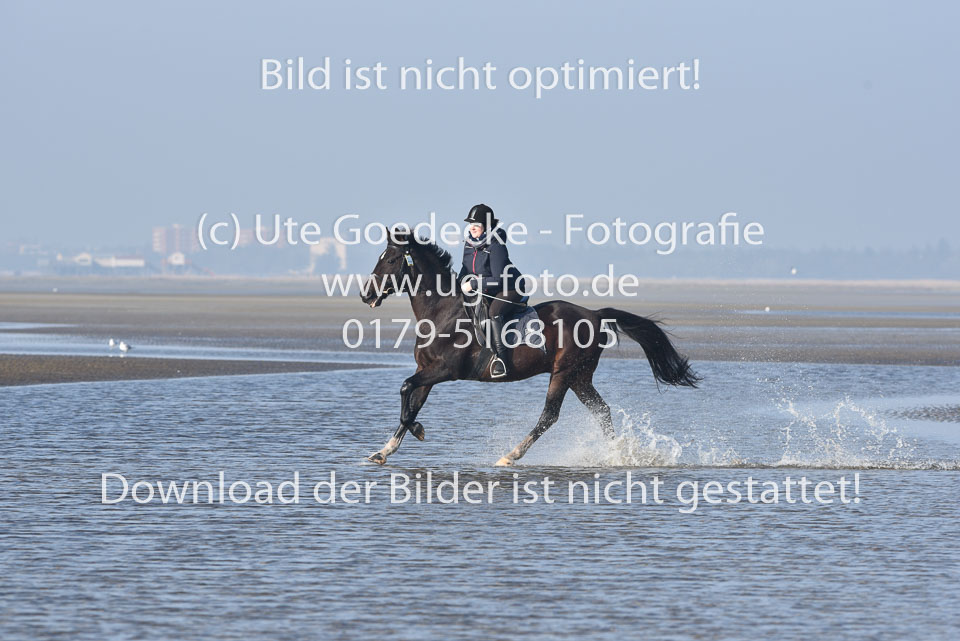 St-Peter-Ording-7-8-_159.jpg
