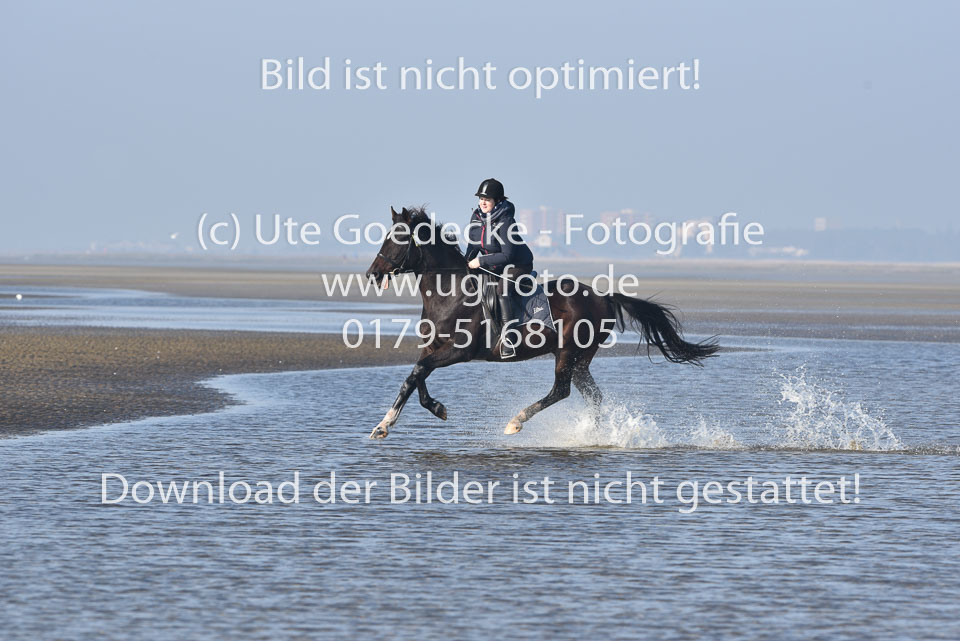 St-Peter-Ording-7-8-_162.jpg