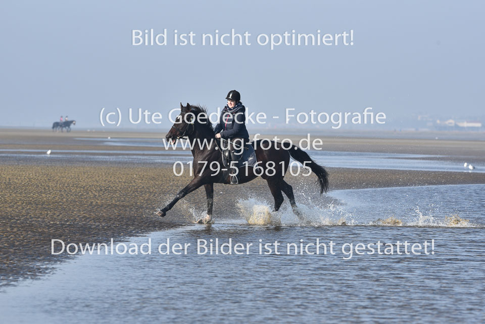 St-Peter-Ording-7-8-_166.jpg
