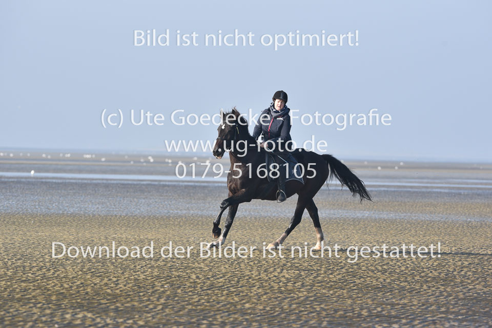 St-Peter-Ording-7-8-_172.jpg