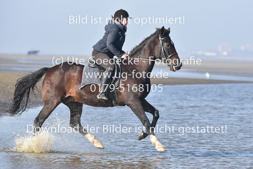 St-Peter-Ording-7-8-_174.jpg