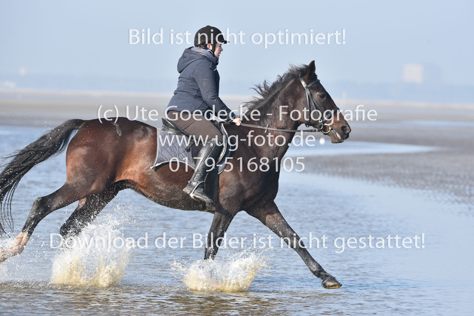 St-Peter-Ording-7-8-_178.jpg