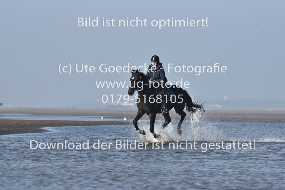 St-Peter-Ording-7-8-_190.jpg