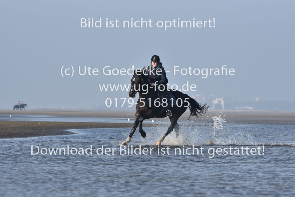 St-Peter-Ording-7-8-_191.jpg