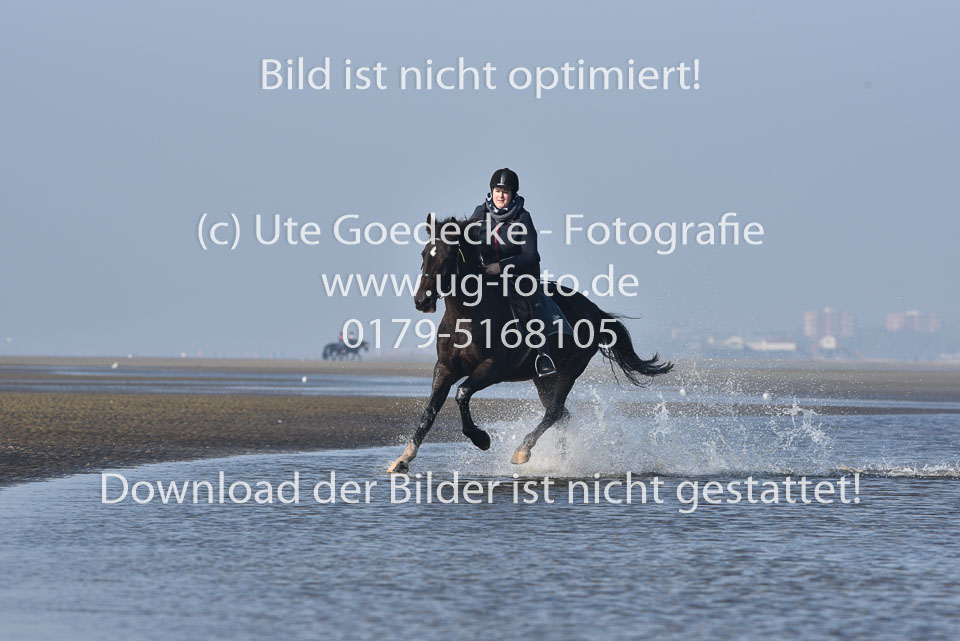 St-Peter-Ording-7-8-_194.jpg