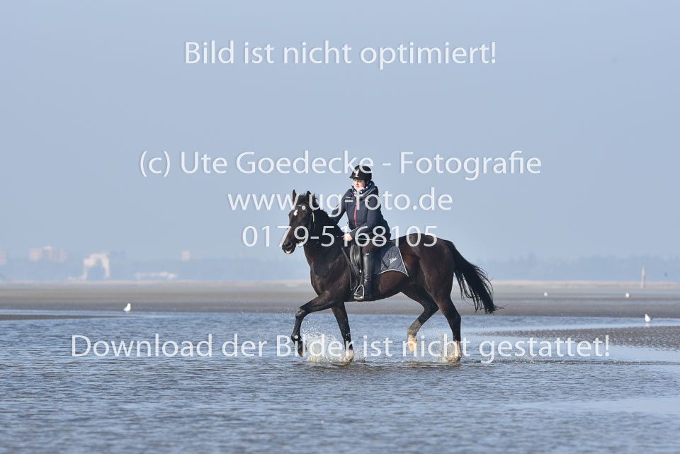 St-Peter-Ording-7-8-_210.jpg
